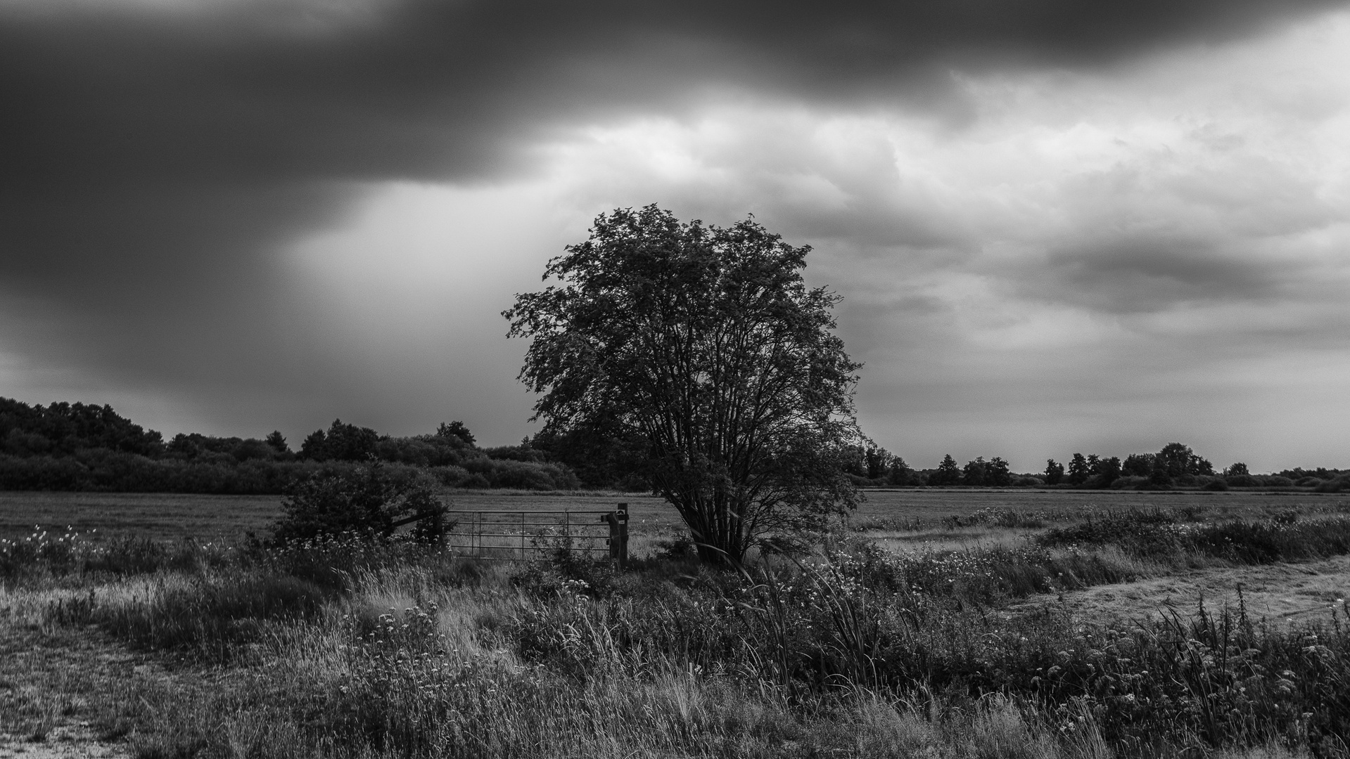 Abendlicht im Teufelsmoor