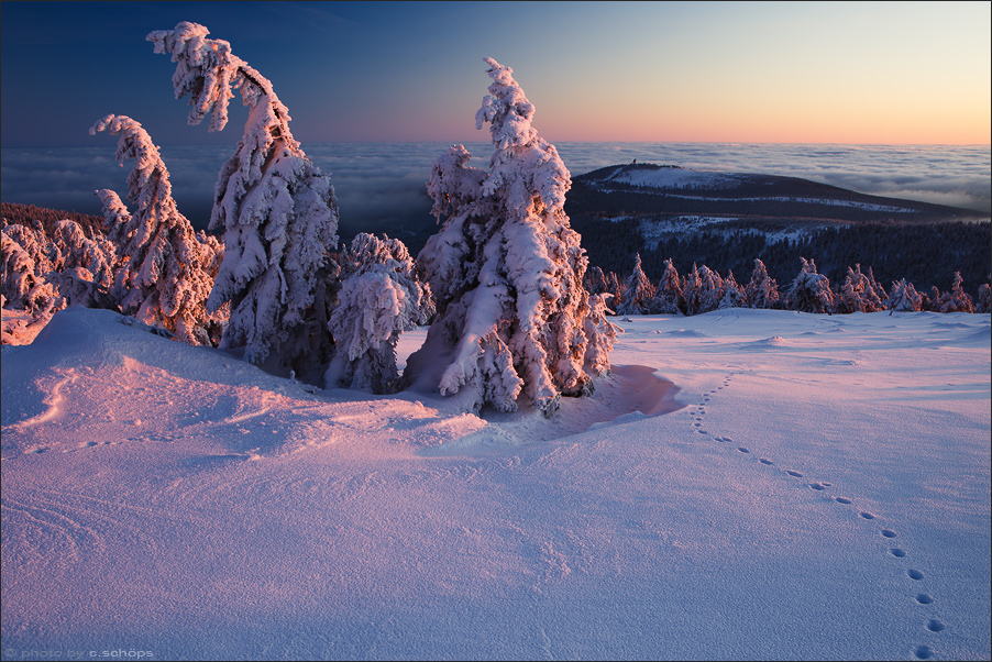 Abendlicht im Winter