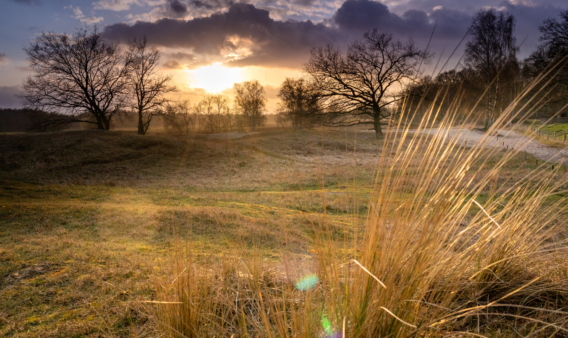 Abendlicht in den Boberger Dünen, Hamburg 