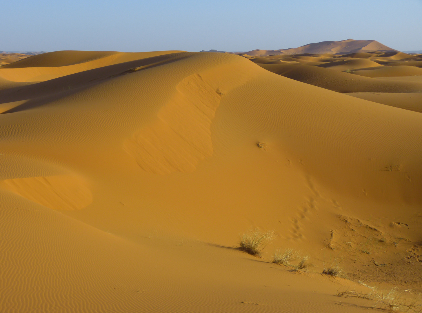 Abendlicht in den Dünen bei Merzouga, Marokko