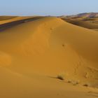 Abendlicht in den Dünen bei Merzouga, Marokko