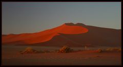 abendlicht in der namib