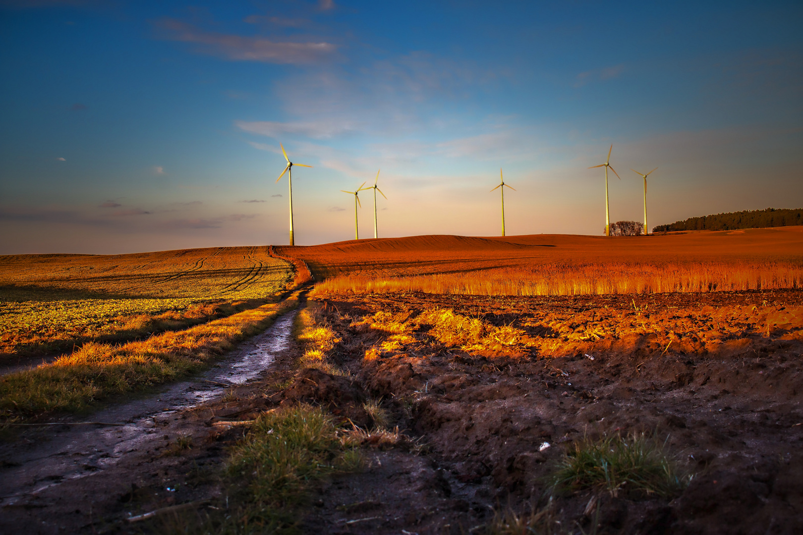 Abendlicht in der Uckermark