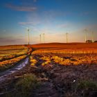 Abendlicht in der Uckermark