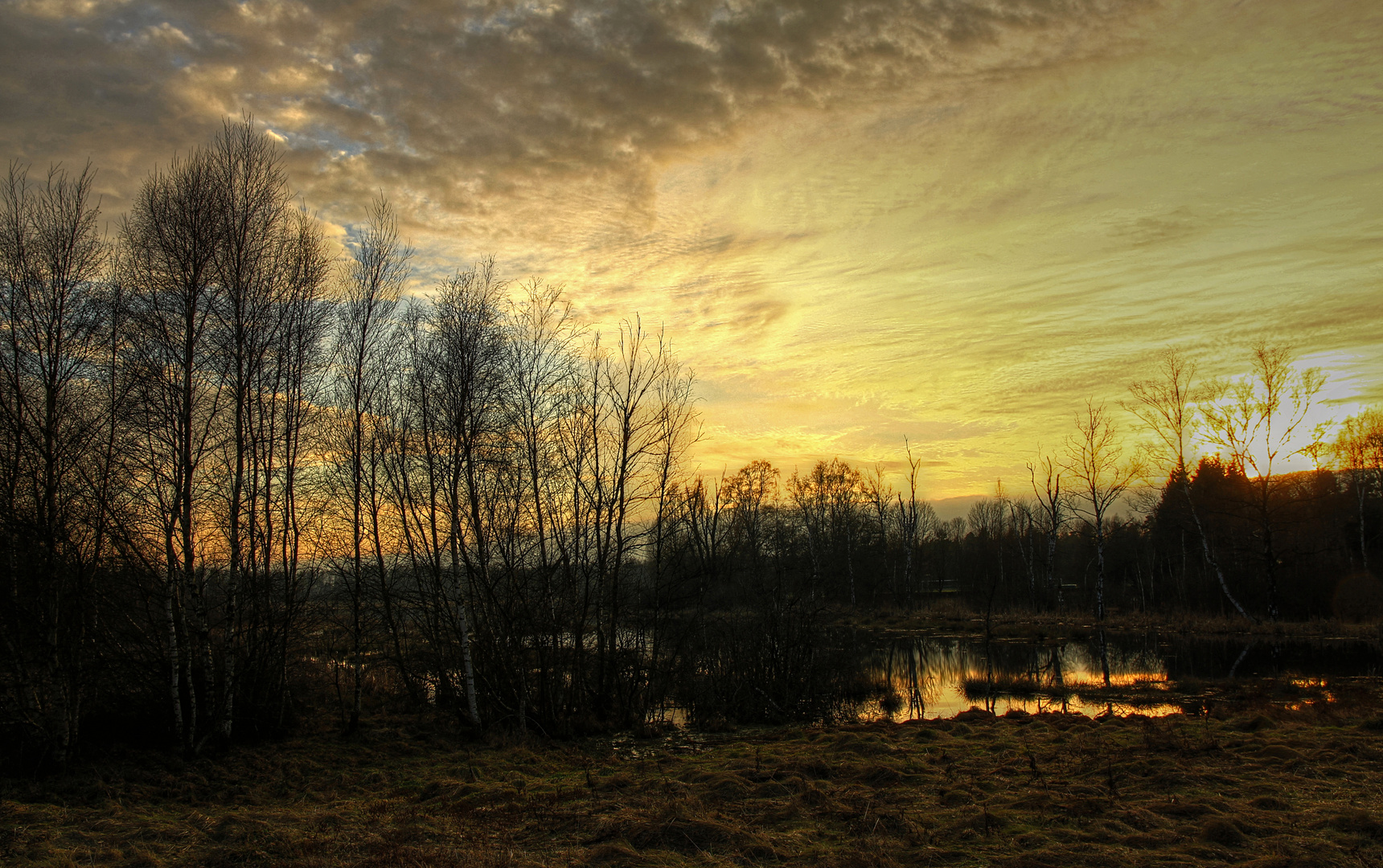 Abendlicht in einer Naturlandschaft