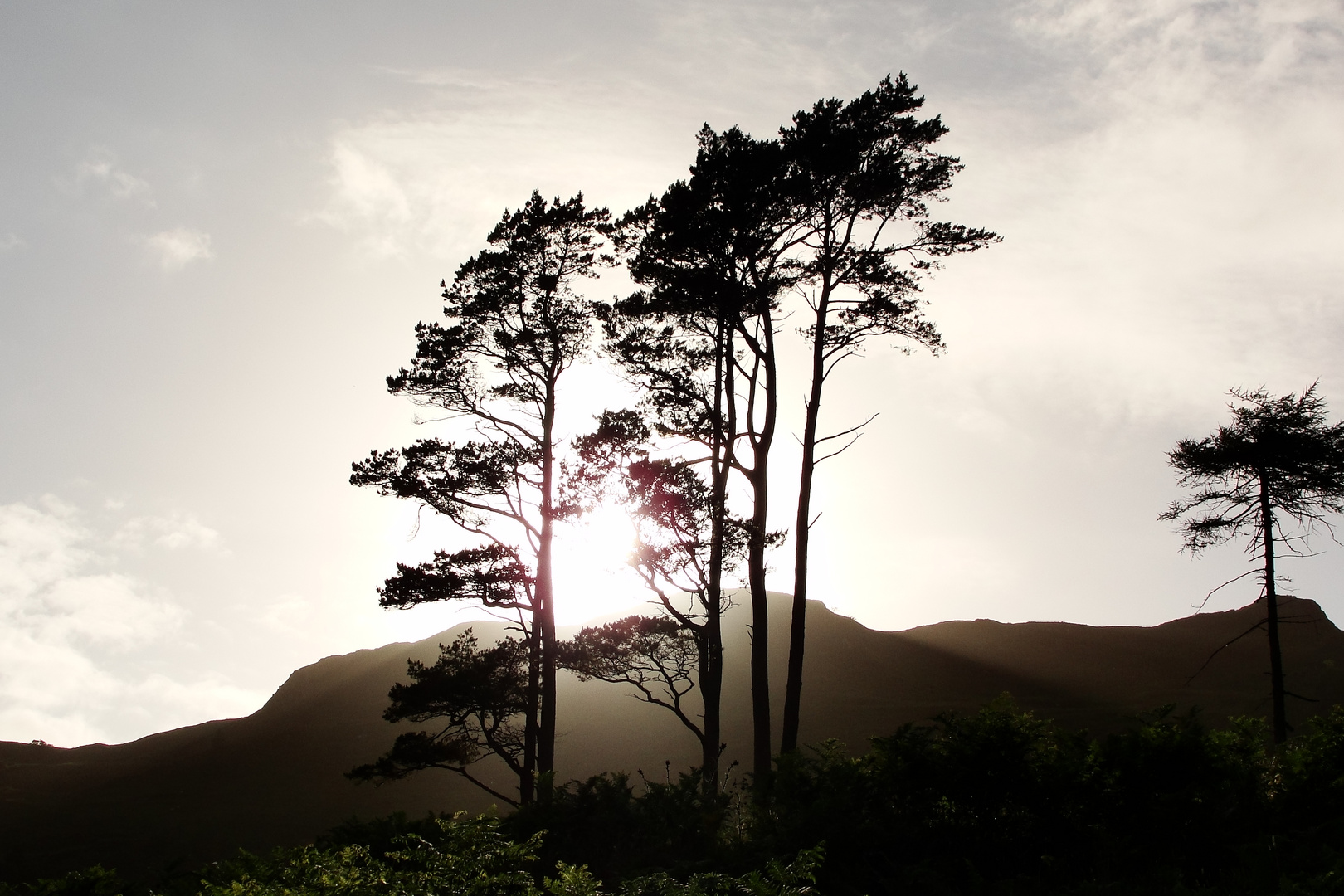 Abendlicht in Schottland