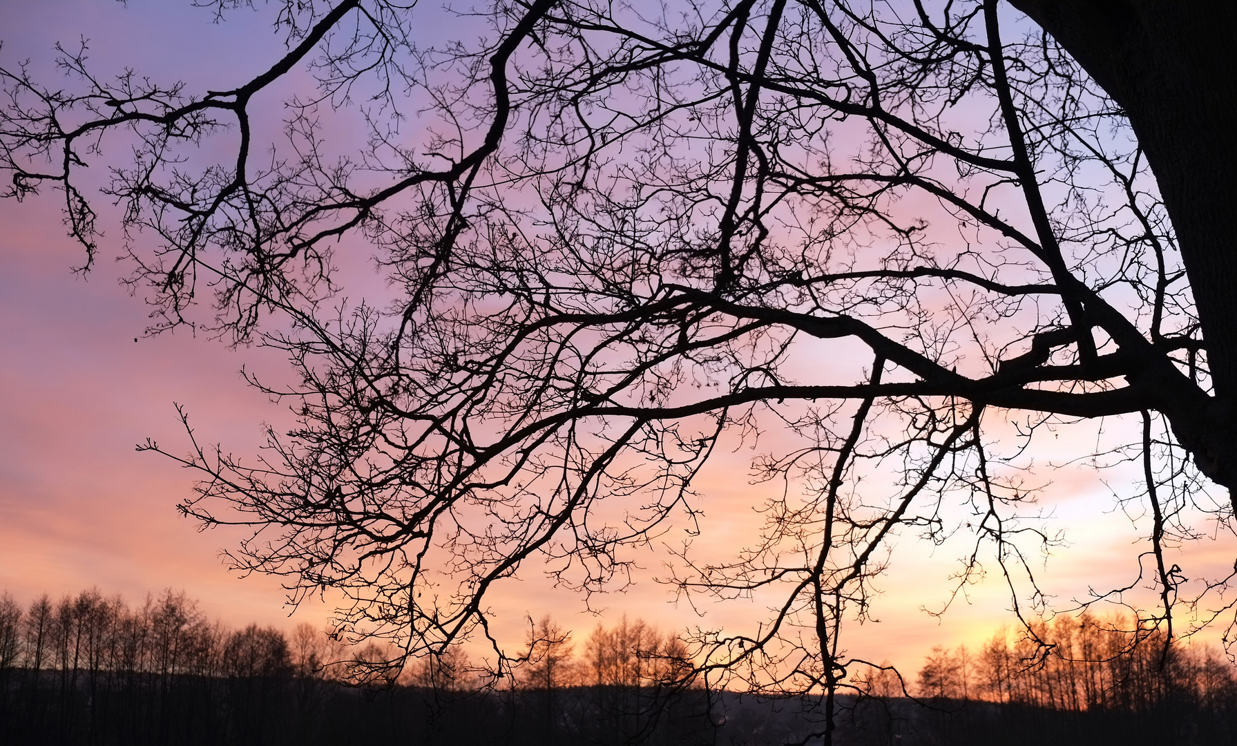 Abendlicht in Schwabach.