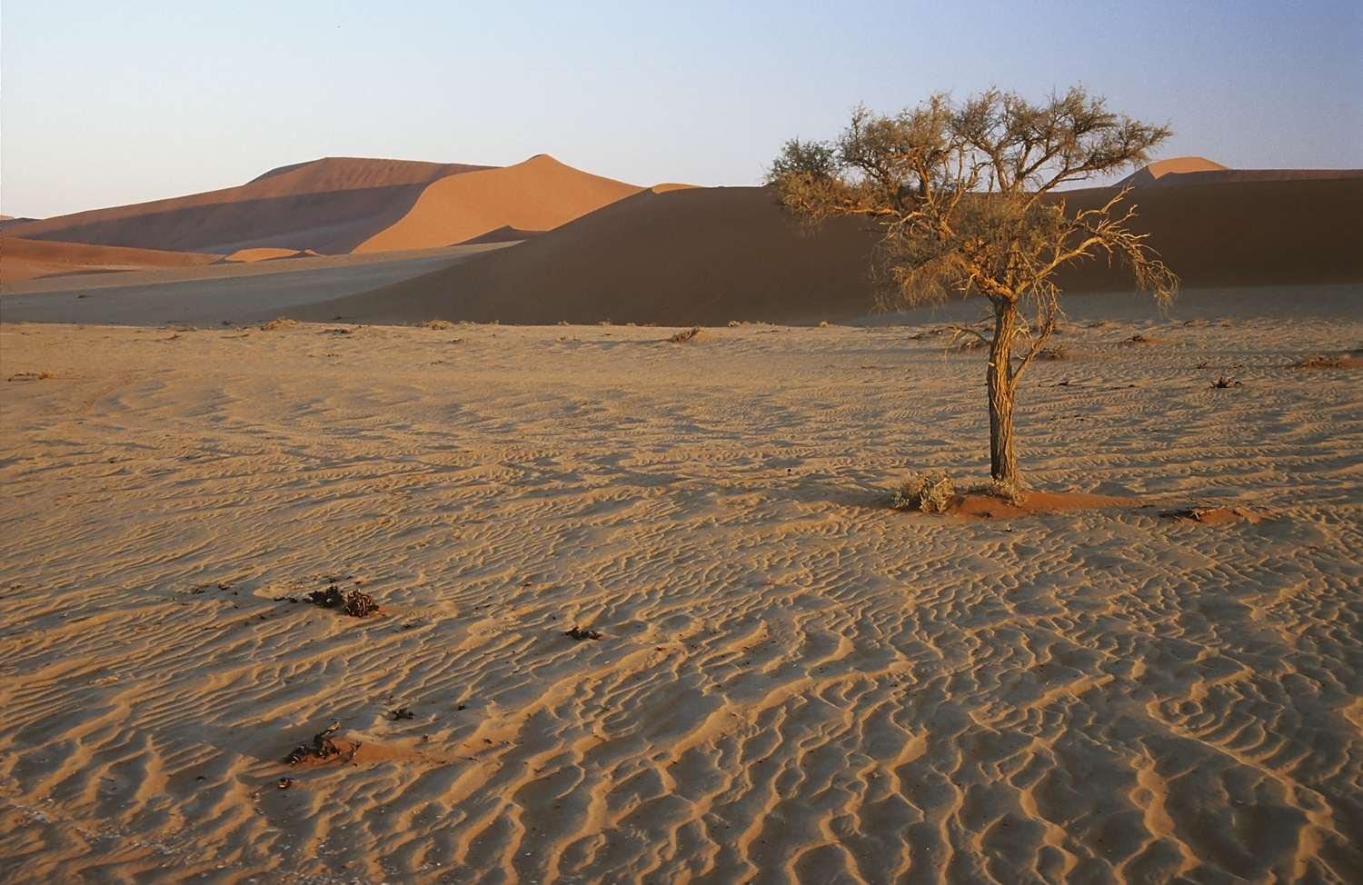 Abendlicht in Sossusvlei