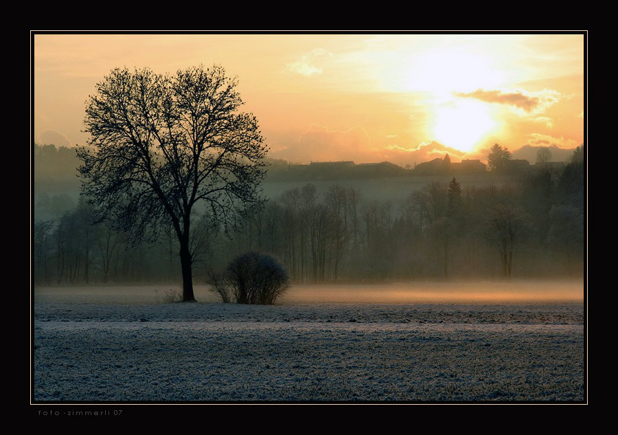 Abendlicht mit feinem Bodennebel - Surental II