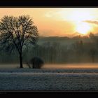 Abendlicht mit feinem Bodennebel - Surental II