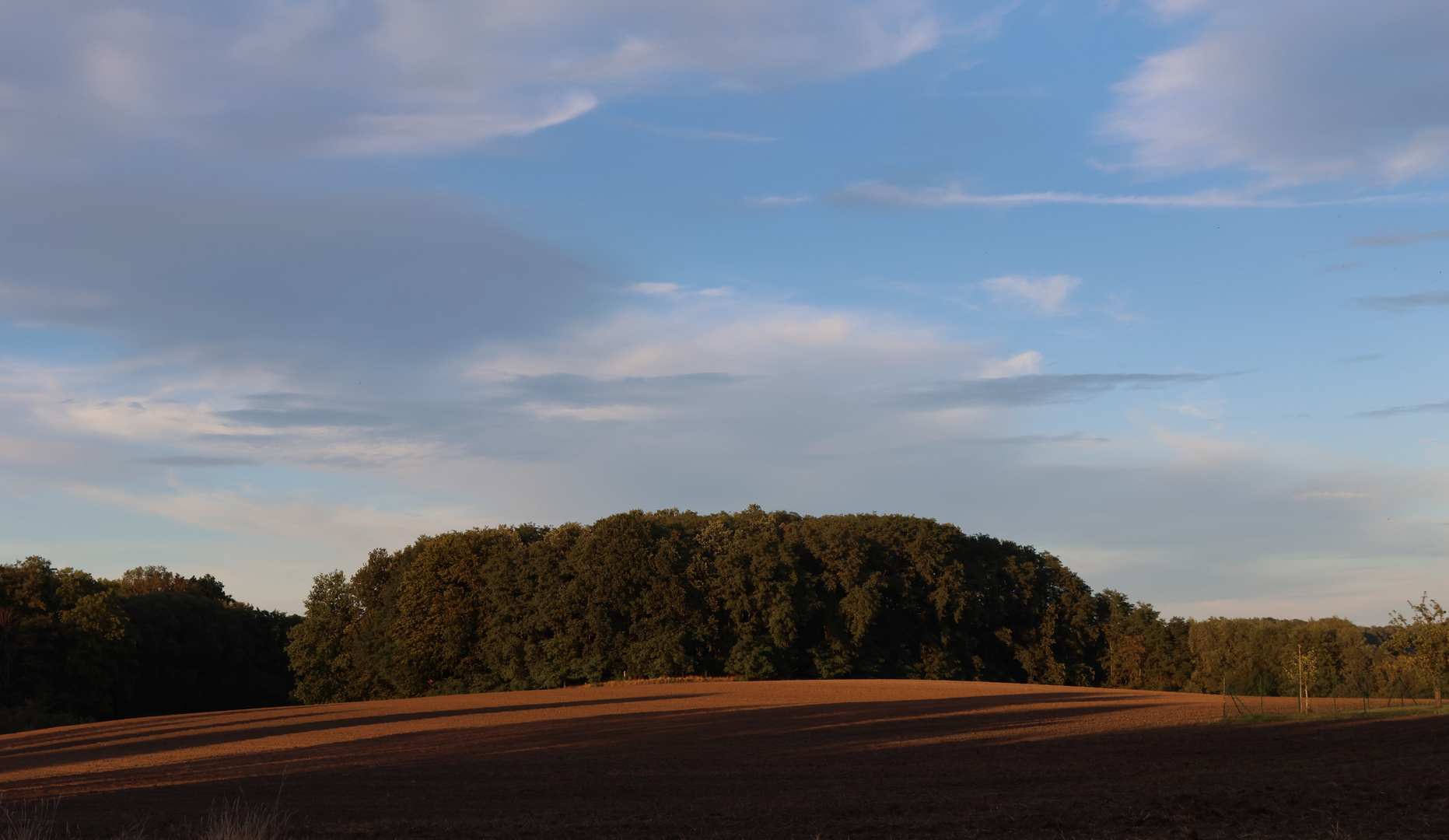 Abendlicht über dem Feld