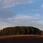 Abendlicht über dem Feld