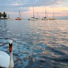 Abendlicht über dem größten Binnensee Europas 