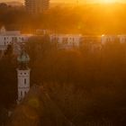 Abendlicht über dem Hermanfriedhof