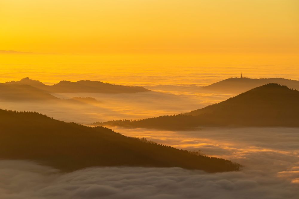 Abendlicht über dem Schwarzwald