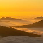 Abendlicht über dem Schwarzwald