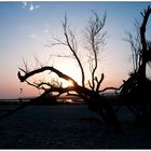 Abendlicht über dem Strand