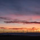 Abendlicht über Rheinhessen