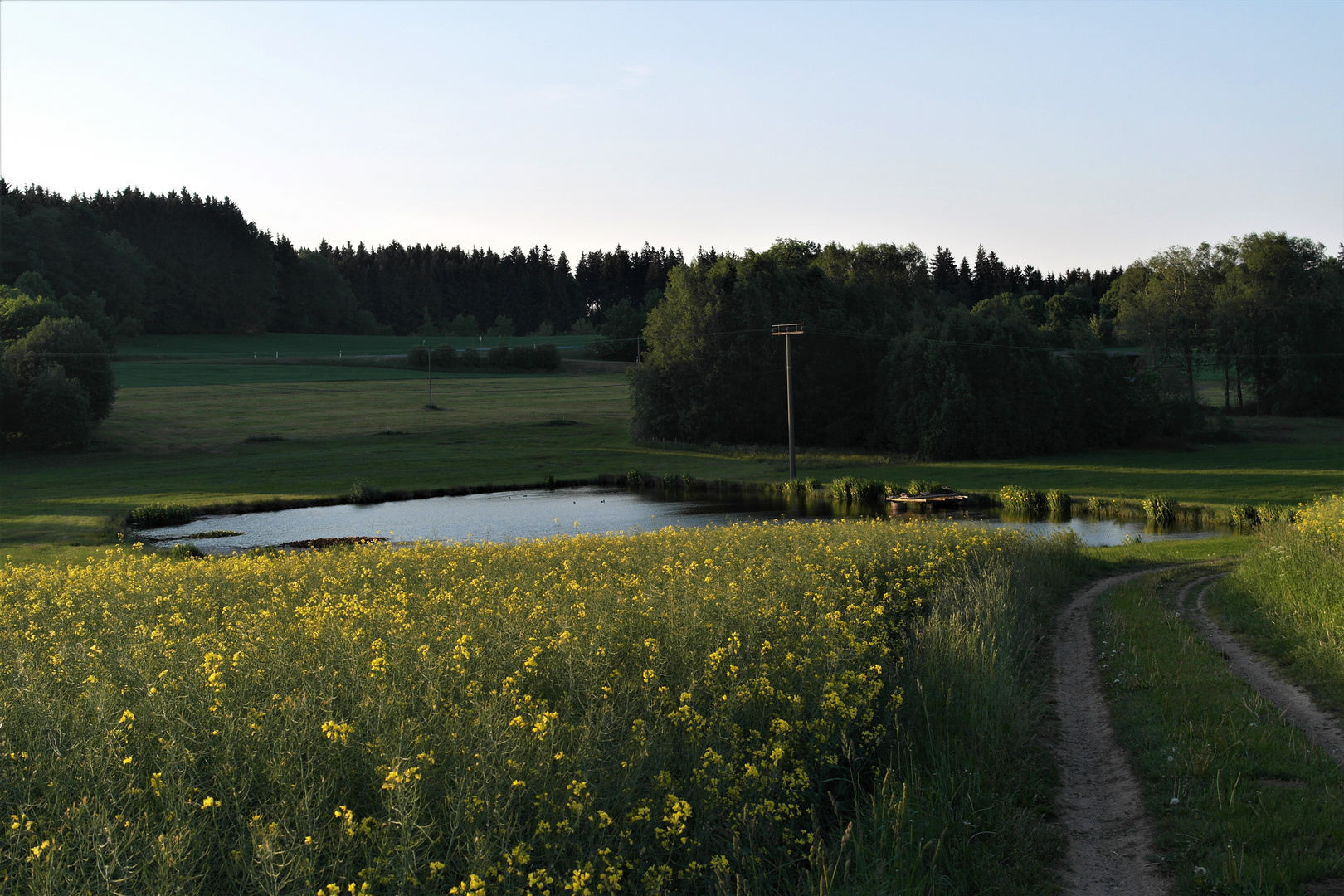 Abendlicht und Abendschatten