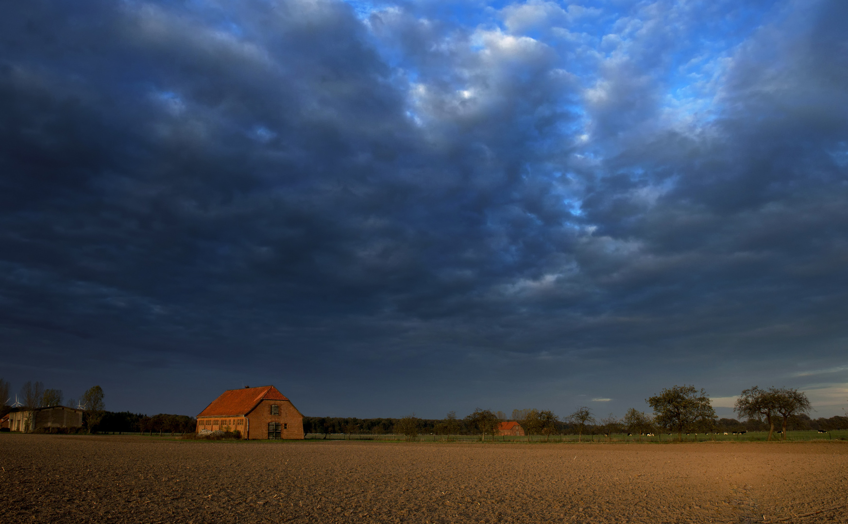 Abendlicht und aufziehende Regenfront