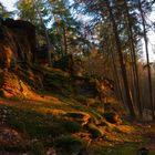 Abendlicht und Felsen