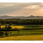 Abendlicht und Schatten