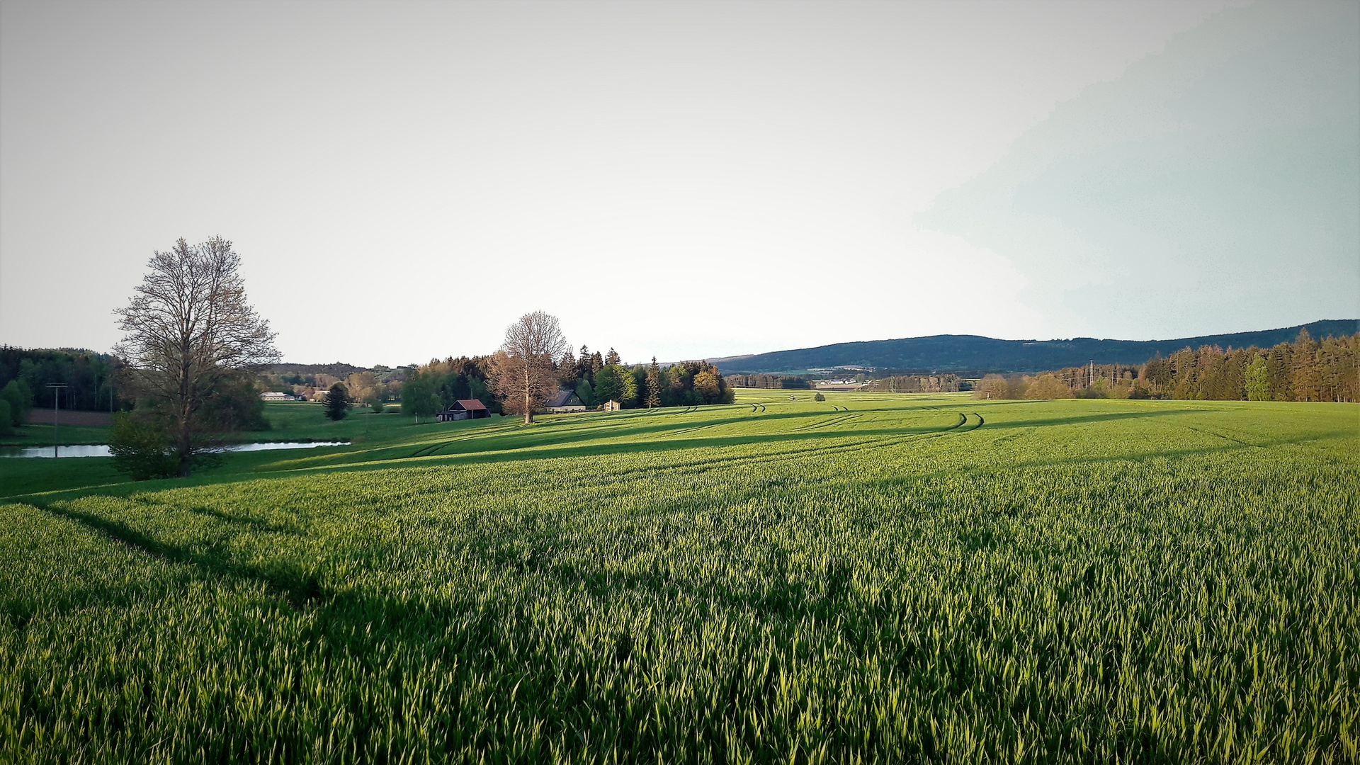 Abendlichtaugenspaziergang bis zum Fichtelgebirge(Waldstein)