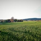 Abendlichtaugenspaziergang bis zum Fichtelgebirge(Waldstein)