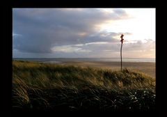 abendlichtdünenstrandblick