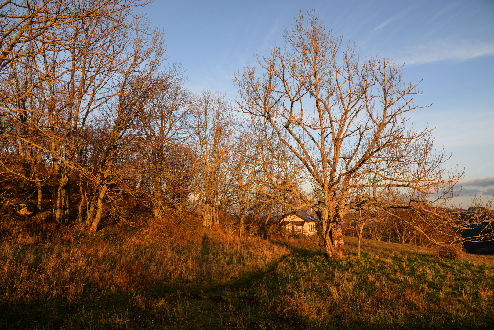 Abendlichter am Lochenstein