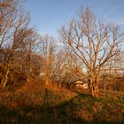 Abendlichter am Lochenstein