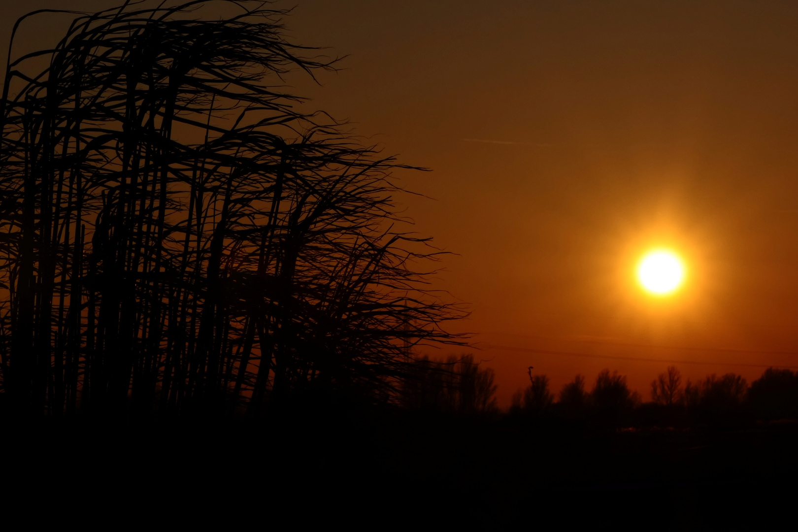 Abendlüftchen