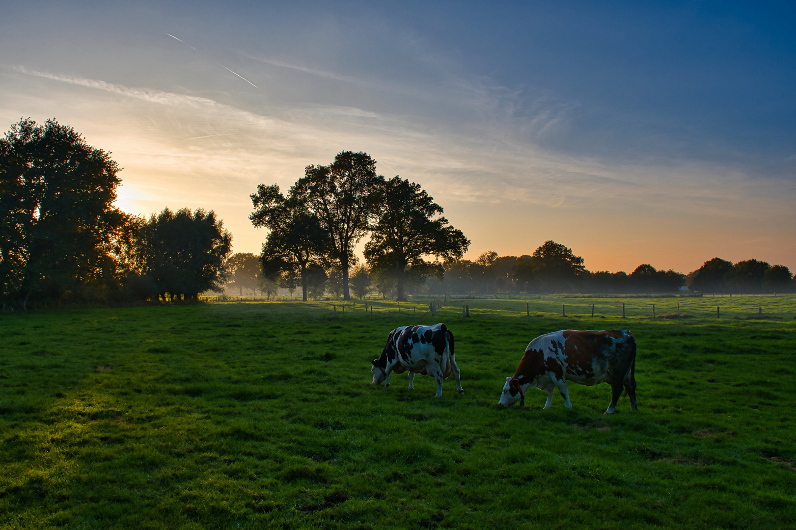 Abendmahl