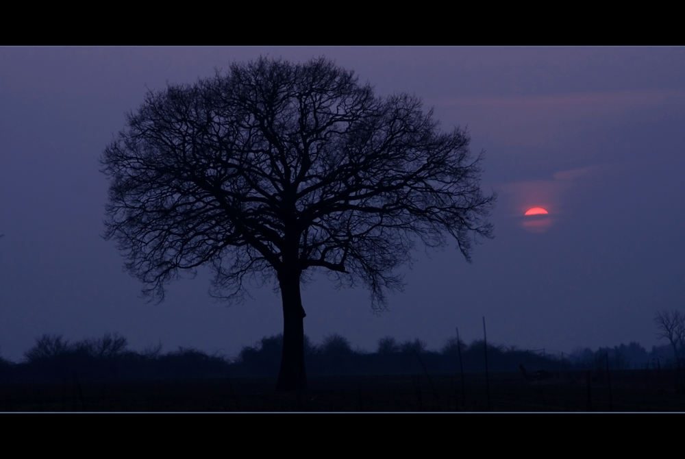 Abendmelancholie