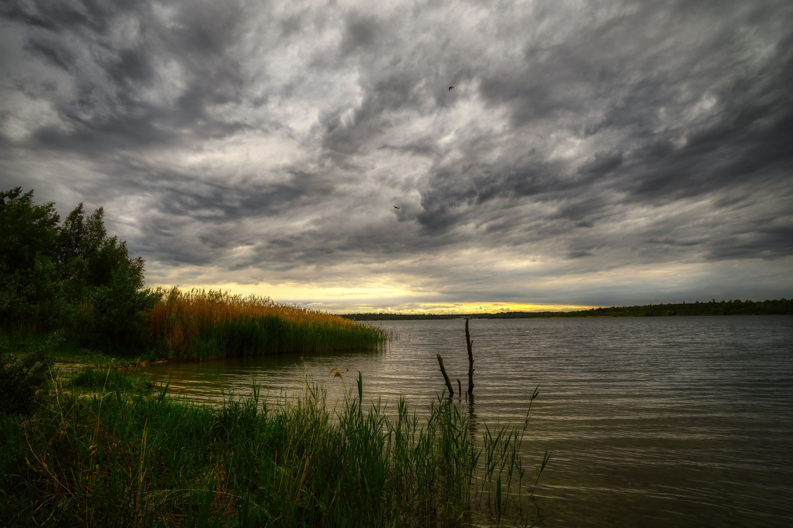 Abendmelancholie am See  ...