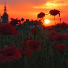 Abendmohn