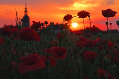 Abendmohn