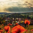 Abendmohn