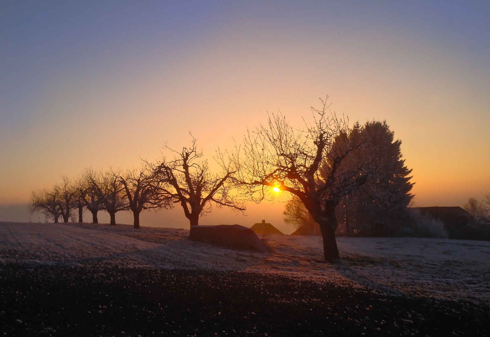 Abendmystik im Winter