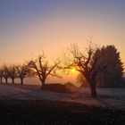 Abendmystik im Winter