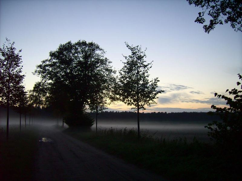 Abendnebel... (001)