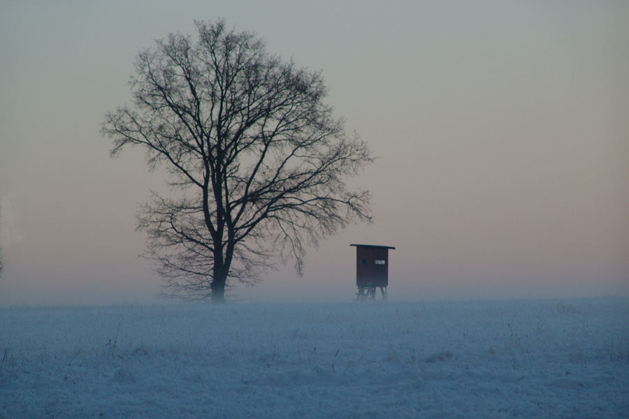 Abendnebel 1