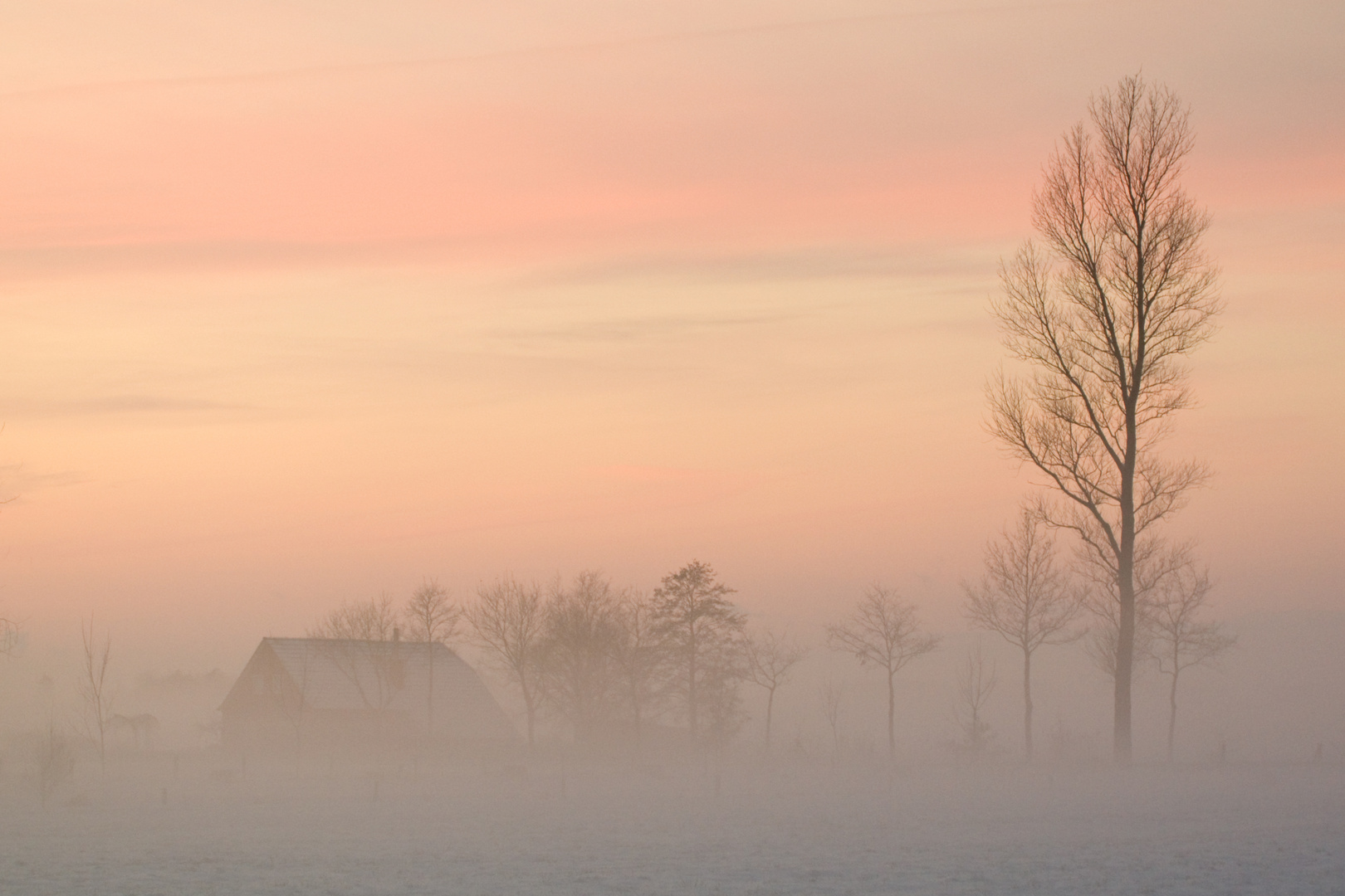 Abendnebel