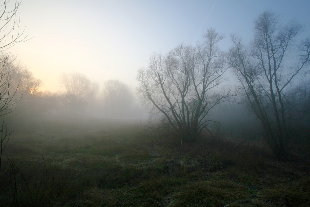 Abendnebel