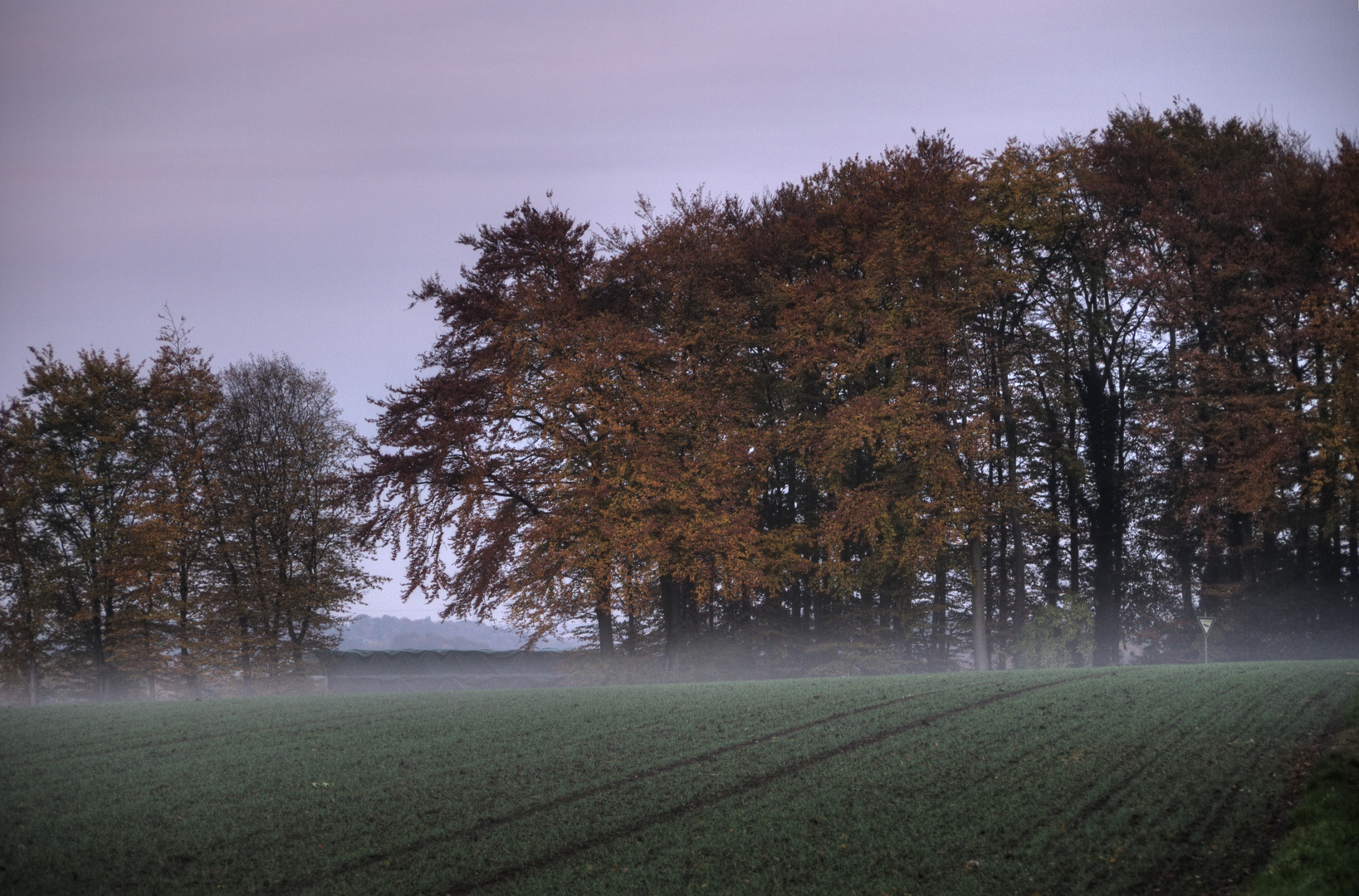 Abendnebel 2