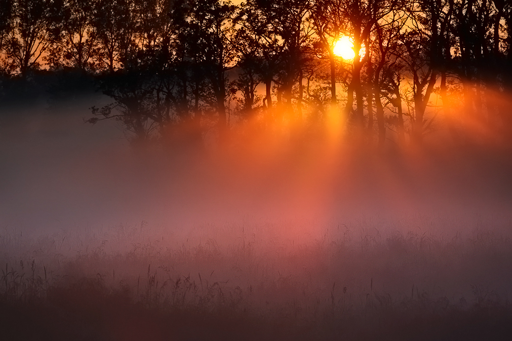 abendnebel