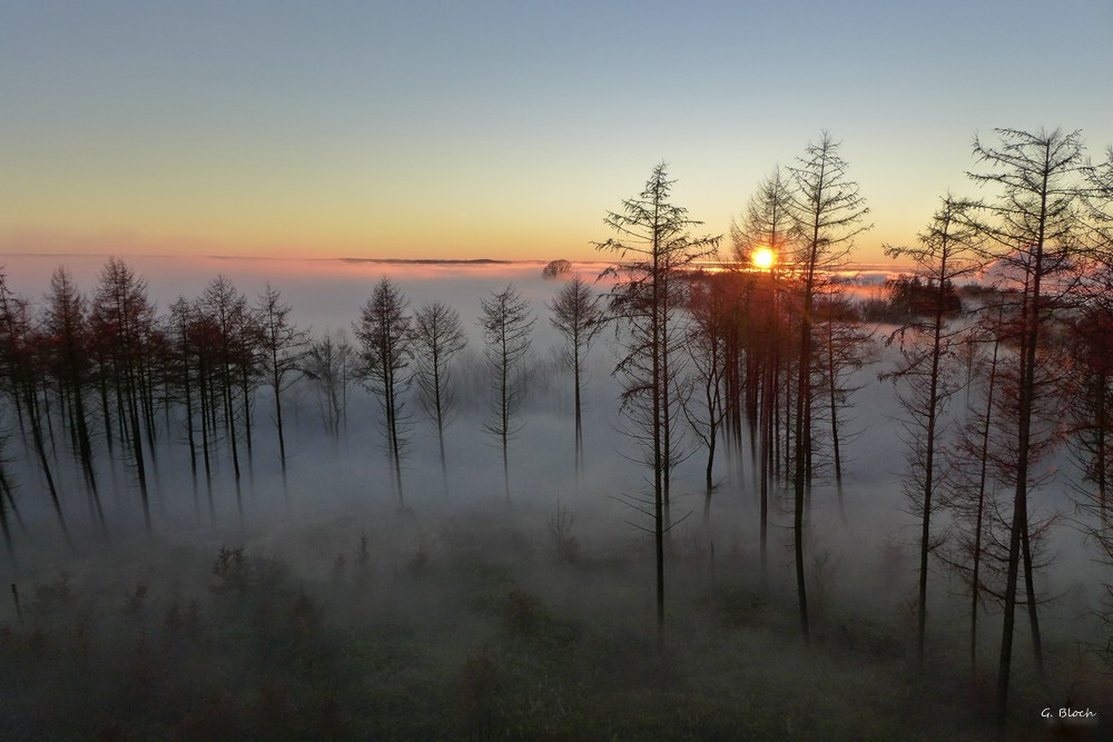 Abendnebel