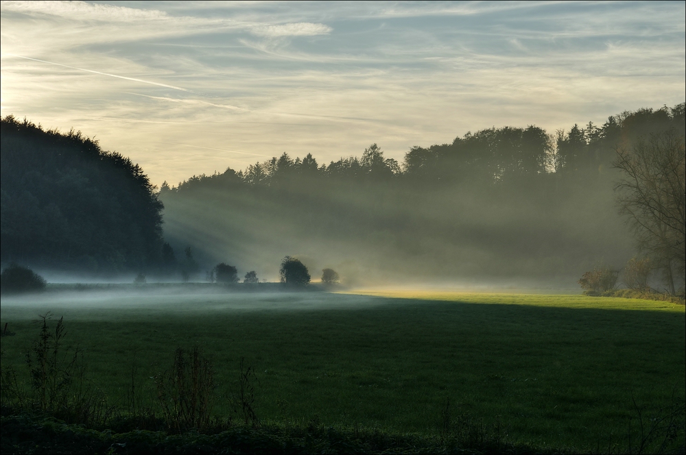 Abendnebel