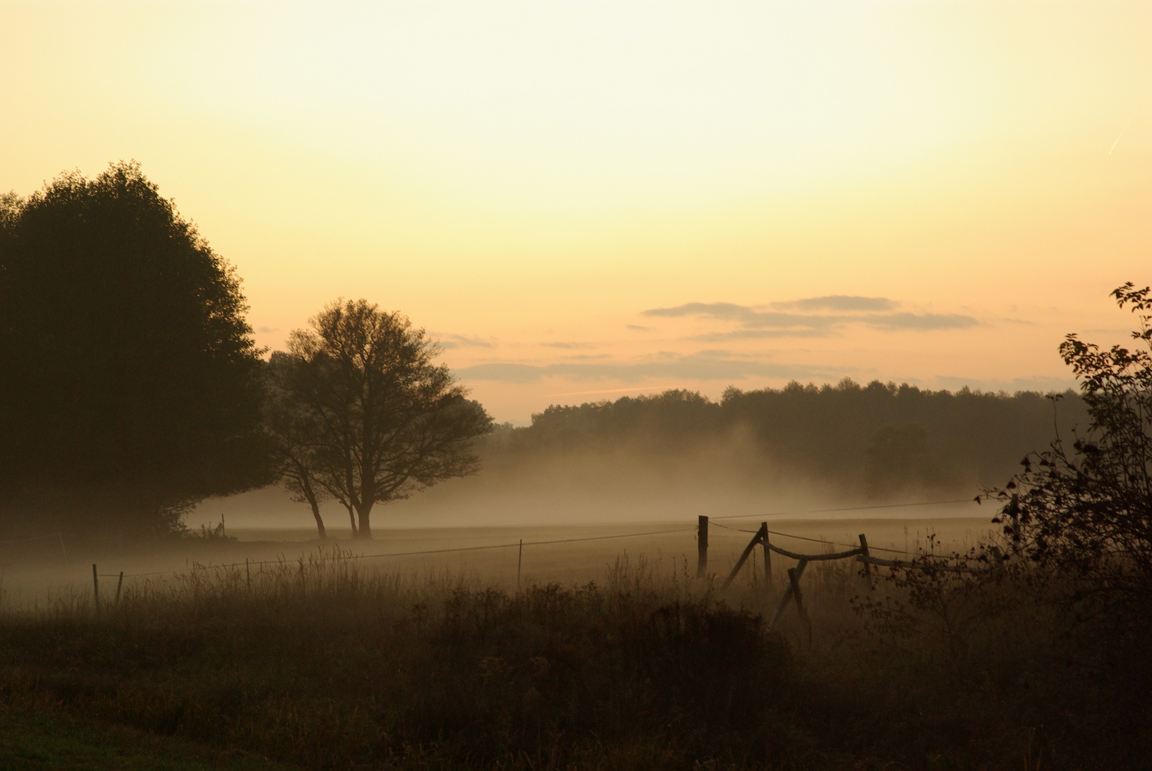 Abendnebel