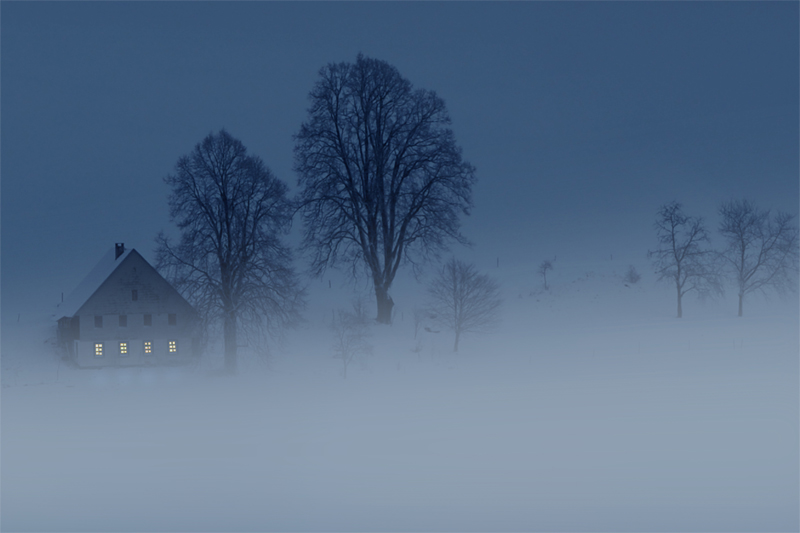 Abendnebel